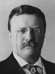 Roosevelt theodore